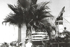 29iunie-26iulie-1974escala-in-Beirut.De-la-stinga-la-draptaViorel-DOBRINVasile-BANARU
