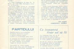 Scan-31