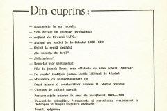 Scan-33